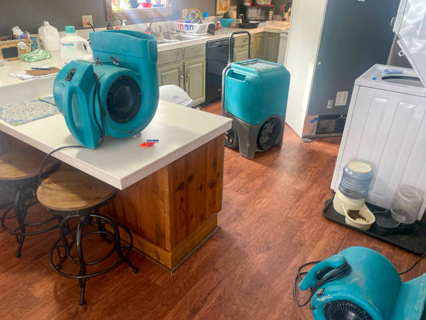 Best Mold removal after water damage  in Overland, MO