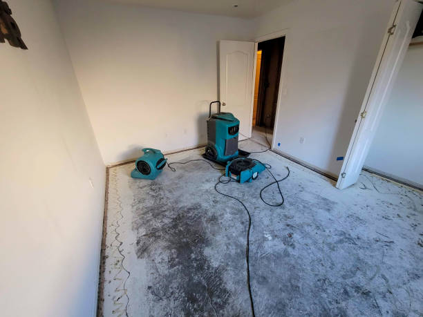 Best Water damage cleanup near me  in Overland, MO
