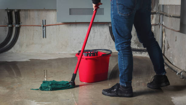 Best Sewage cleanup and water damage restoration  in Overland, MO