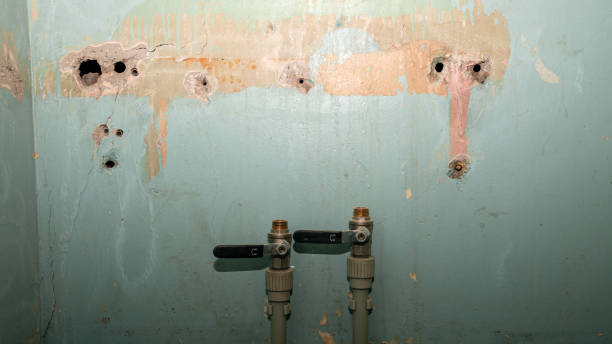 Best Mold removal after water damage  in Overland, MO