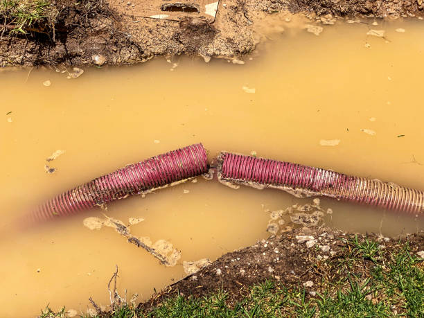 Best Flood damage cleanup  in Overland, MO