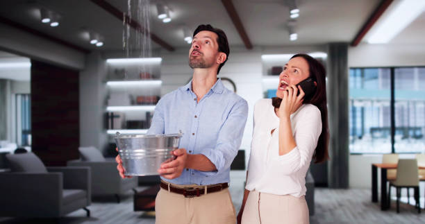 Best 24/7 water damage repair  in Overland, MO